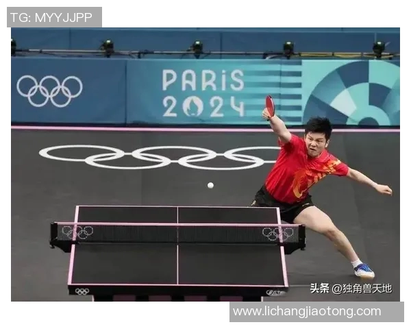 乒乓球新手必看:从基础技巧到个人能力提升的全面入门指南